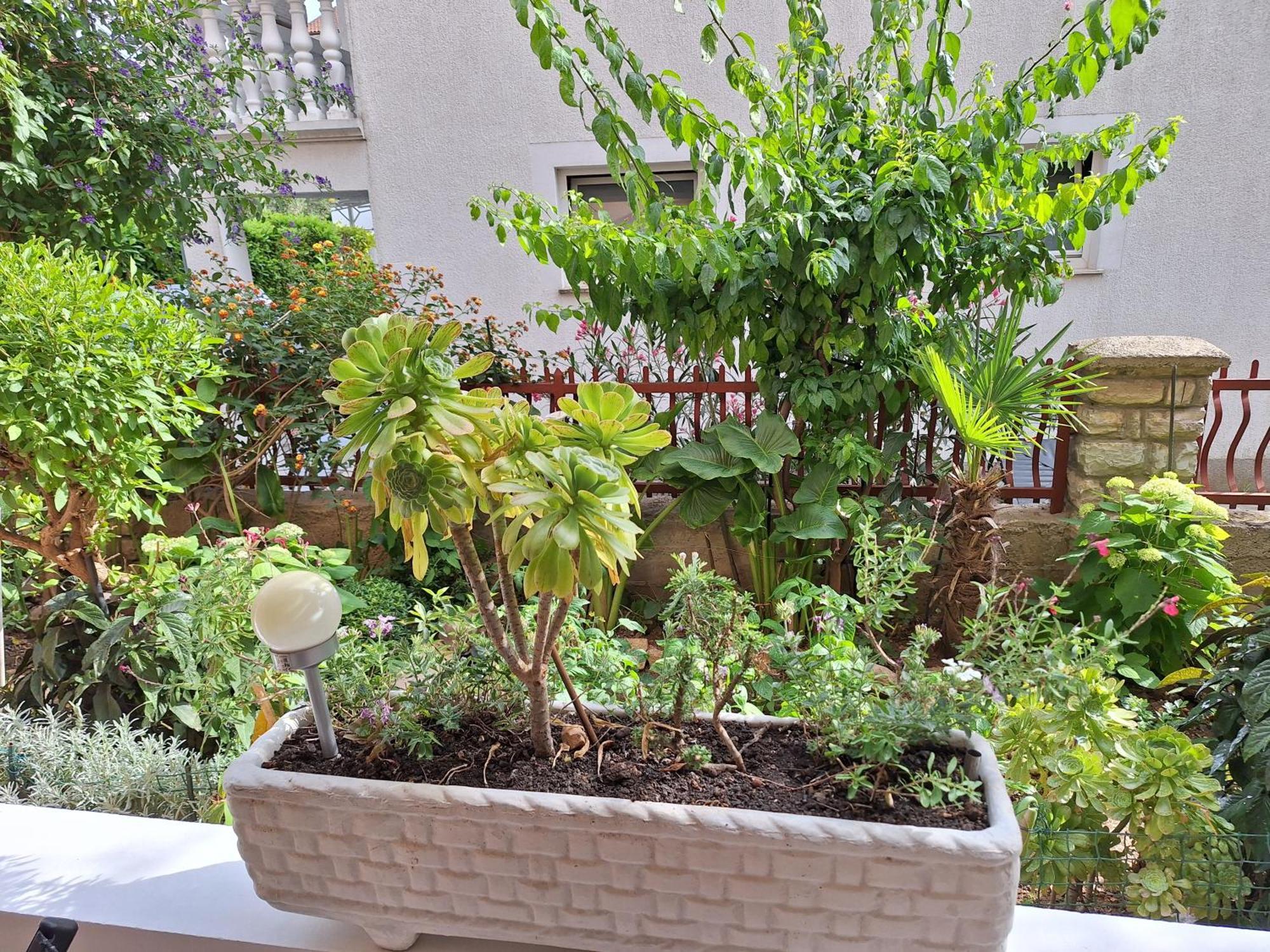 Apartments Andabaka Водице Экстерьер фото